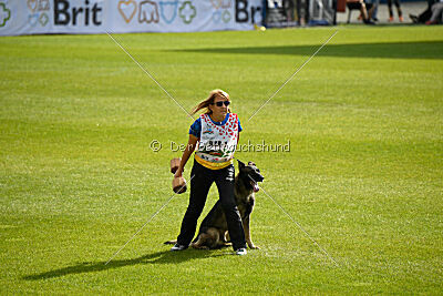 Freddy Tespo Bohemia