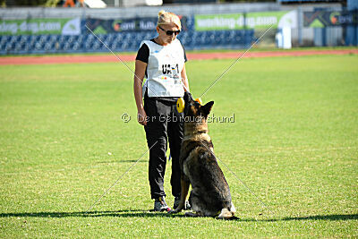 Freddy Tespo Bohemia