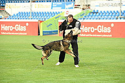 Fredo von Schloß Bothmer