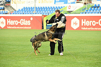 Fredo von Schloß Bothmer