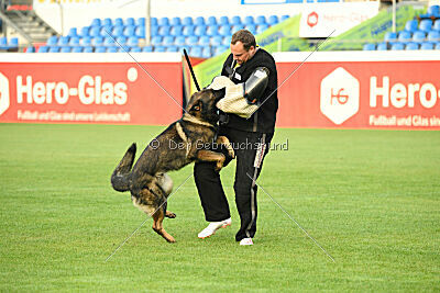 Fredo von Schloß Bothmer