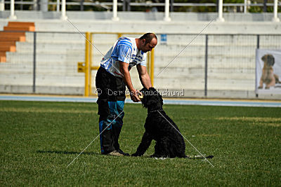 Frenklin ze Slunecné verandy