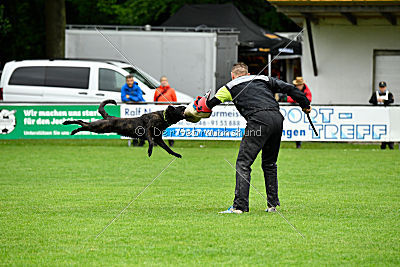 Frenzy's Ferrari of Flying Attacks