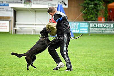 Frenzy's Ferrari of Flying Attacks