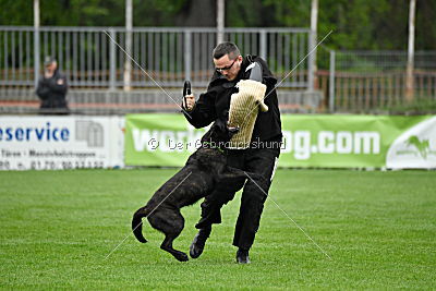 Frenzy's Ferrari of Flying Attacks