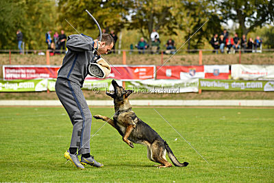 Freya vom Dahlhauser Schloßpark