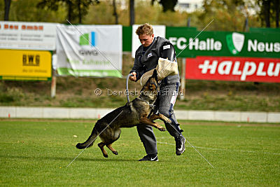 Freya vom Dahlhauser Schloßpark