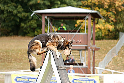 Frieda vom Wietzestrand