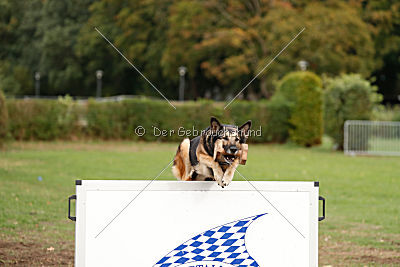 Frieda vom Wietzestrand