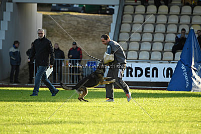 Frieda vom Wietzestrand