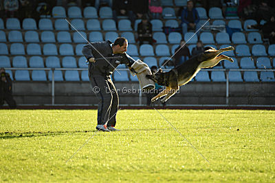 Frieda vom Wietzestrand