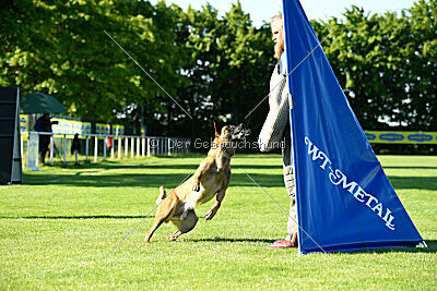 Friedel vom schnellen Falken