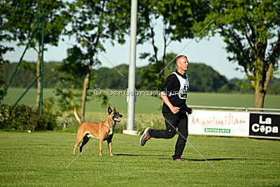 Friedel vom schnellen Falken