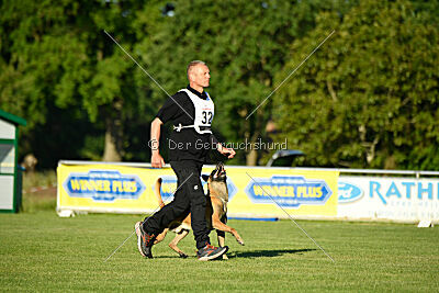Friedel vom schnellen Falken