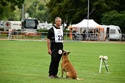 Friedel vom schnellen Falken