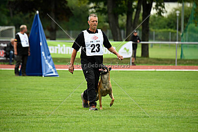 Friedel vom schnellen Falken