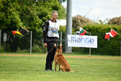 Friedel vom schnellen Falken
