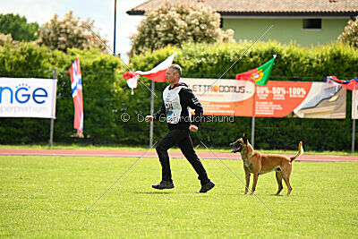 Friedel vom schnellen Falken