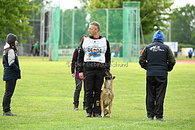 Friedel vom schnellen Falken