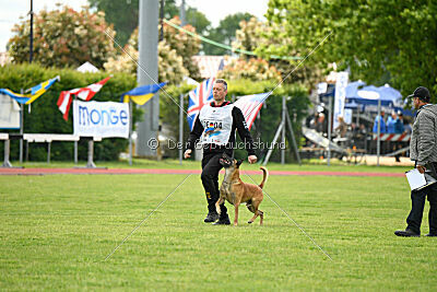 Friedel vom schnellen Falken