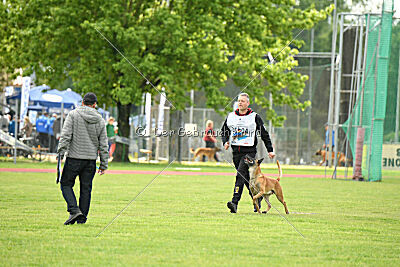 Friedel vom schnellen Falken