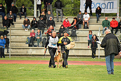 Friedel vom schnellen Falken