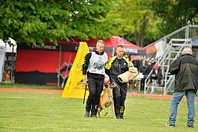 Friedel vom schnellen Falken