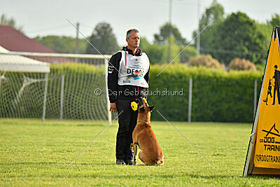 Friedel vom schnellen Falken