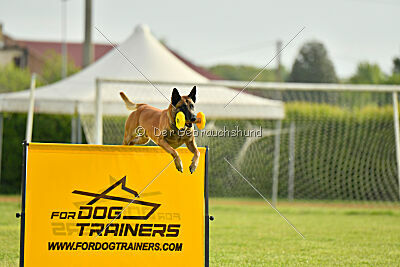 Friedel vom schnellen Falken