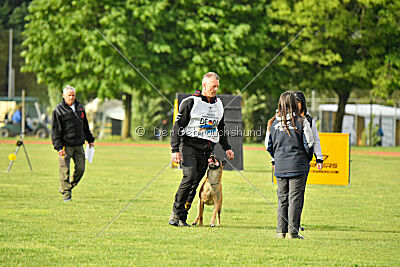 Friedel vom schnellen Falken
