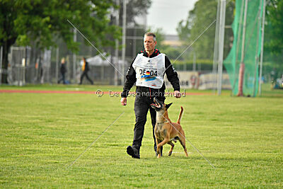 Friedel vom schnellen Falken