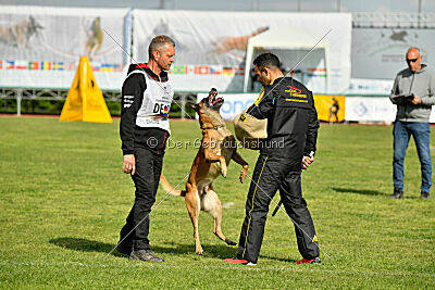 Friedel vom schnellen Falken