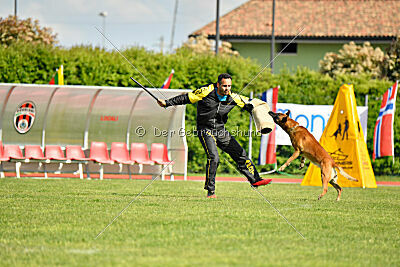 Friedel vom schnellen Falken