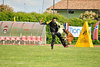 Friedel vom schnellen Falken