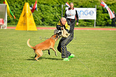 Friedel vom schnellen Falken