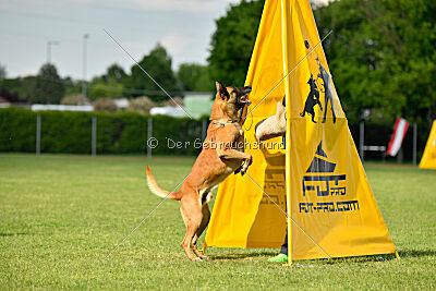 Friedel vom schnellen Falken