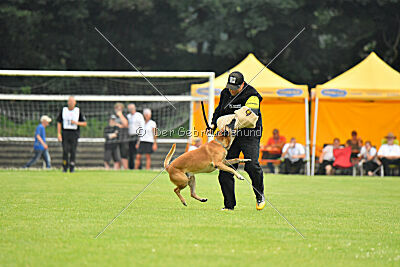 Friedel vom schnellen Falken