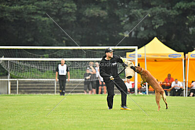 Friedel vom schnellen Falken