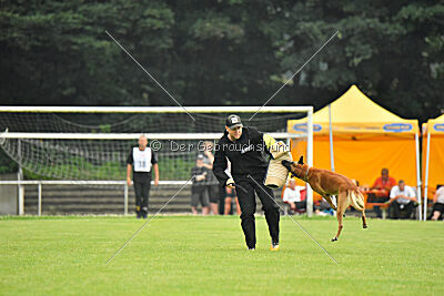 Friedel vom schnellen Falken