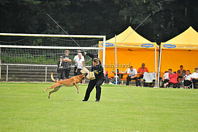 Friedel vom schnellen Falken