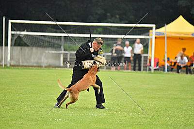 Friedel vom schnellen Falken