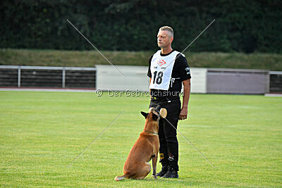 Friedel vom schnellen Falken