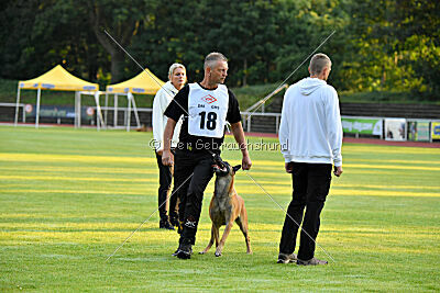 Friedel vom schnellen Falken