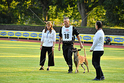 Friedel vom schnellen Falken