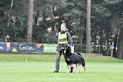 Frodo vom Schützenbruch
