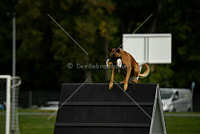 Furan vom Streitwald