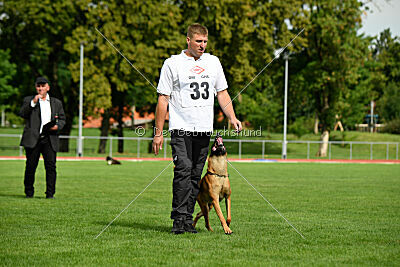 Furan vom Streitwald