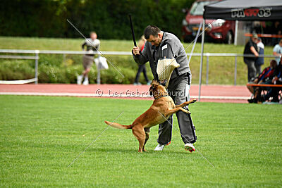 Furan vom Streitwald