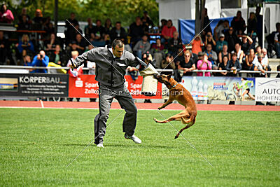 Furan vom Streitwald