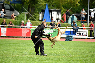 Furan vom Streitwald